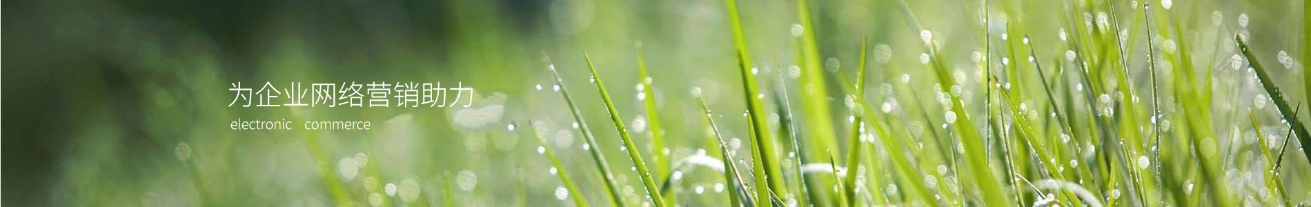 ݸԾʵҵ޹˾